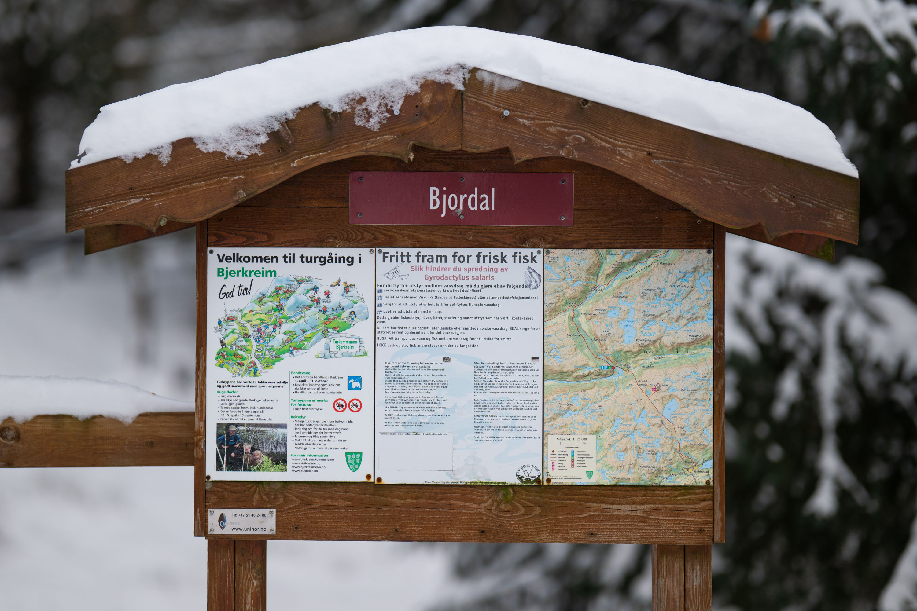 Bjordalstolen vinter