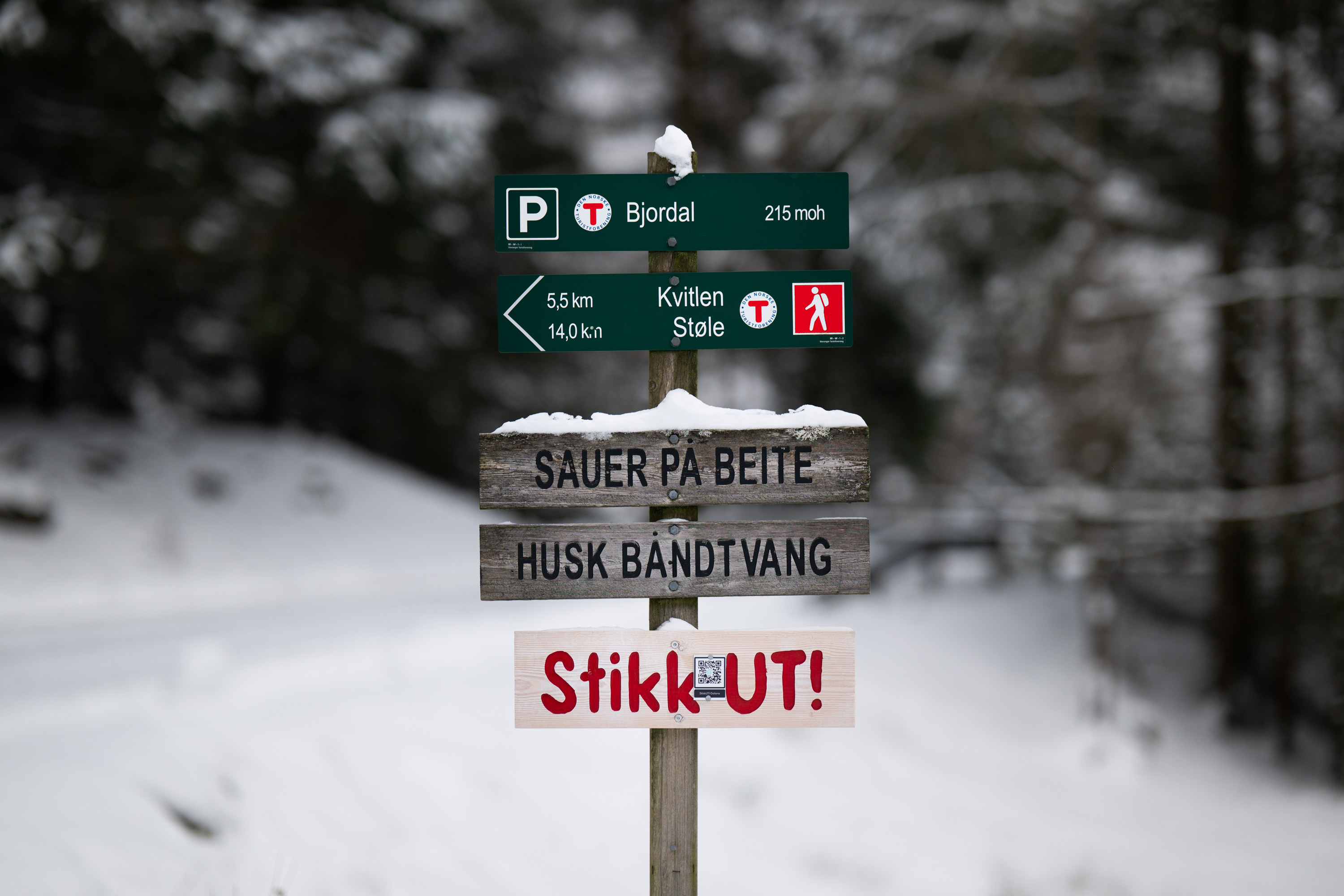 Bjordalstolen vinter