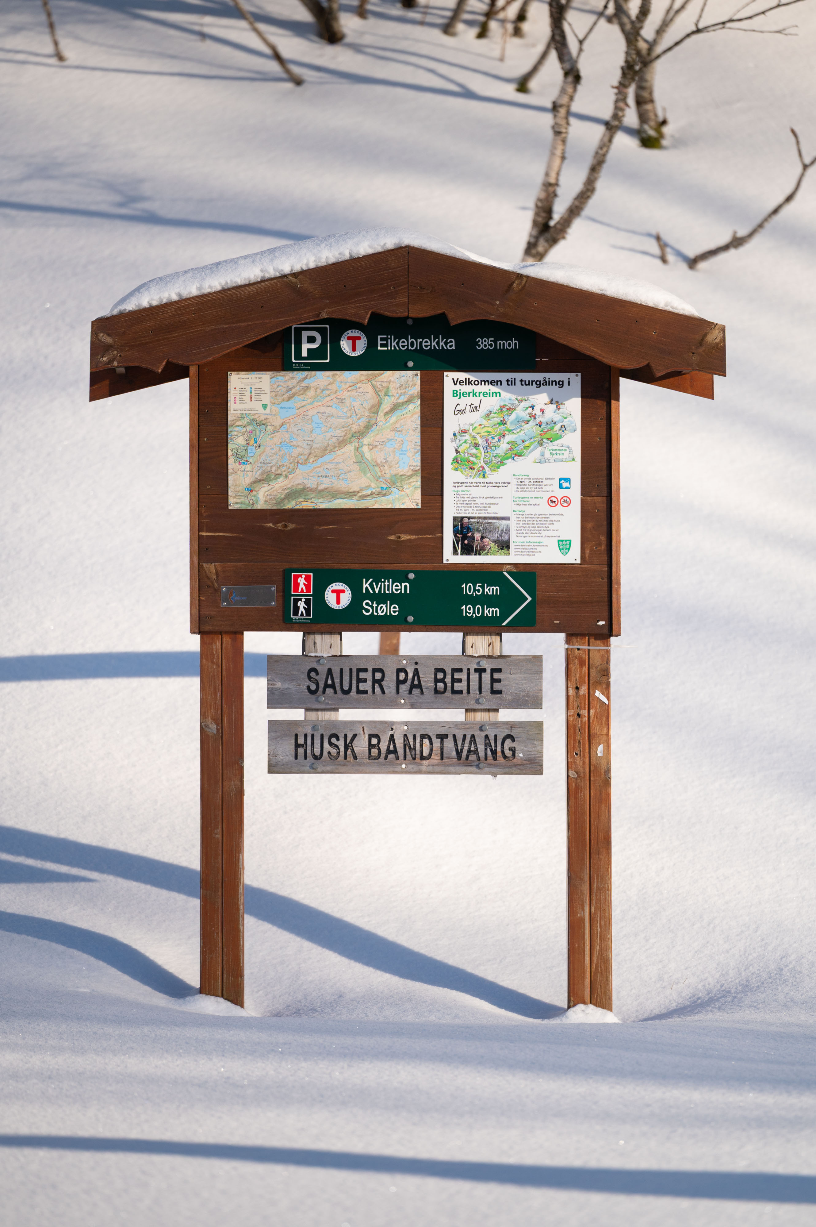 Eikeknuten vinter
