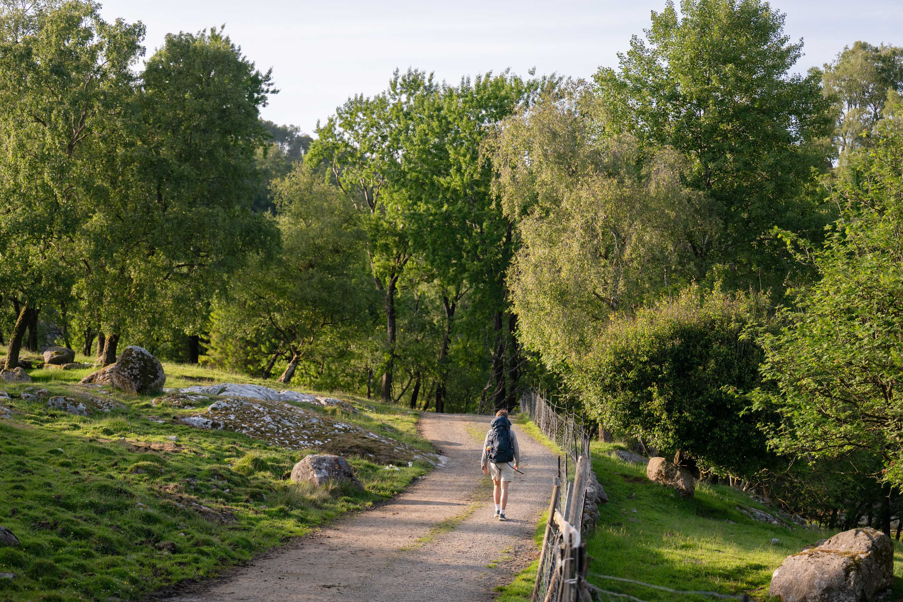 Hengekøye ved Versland gard