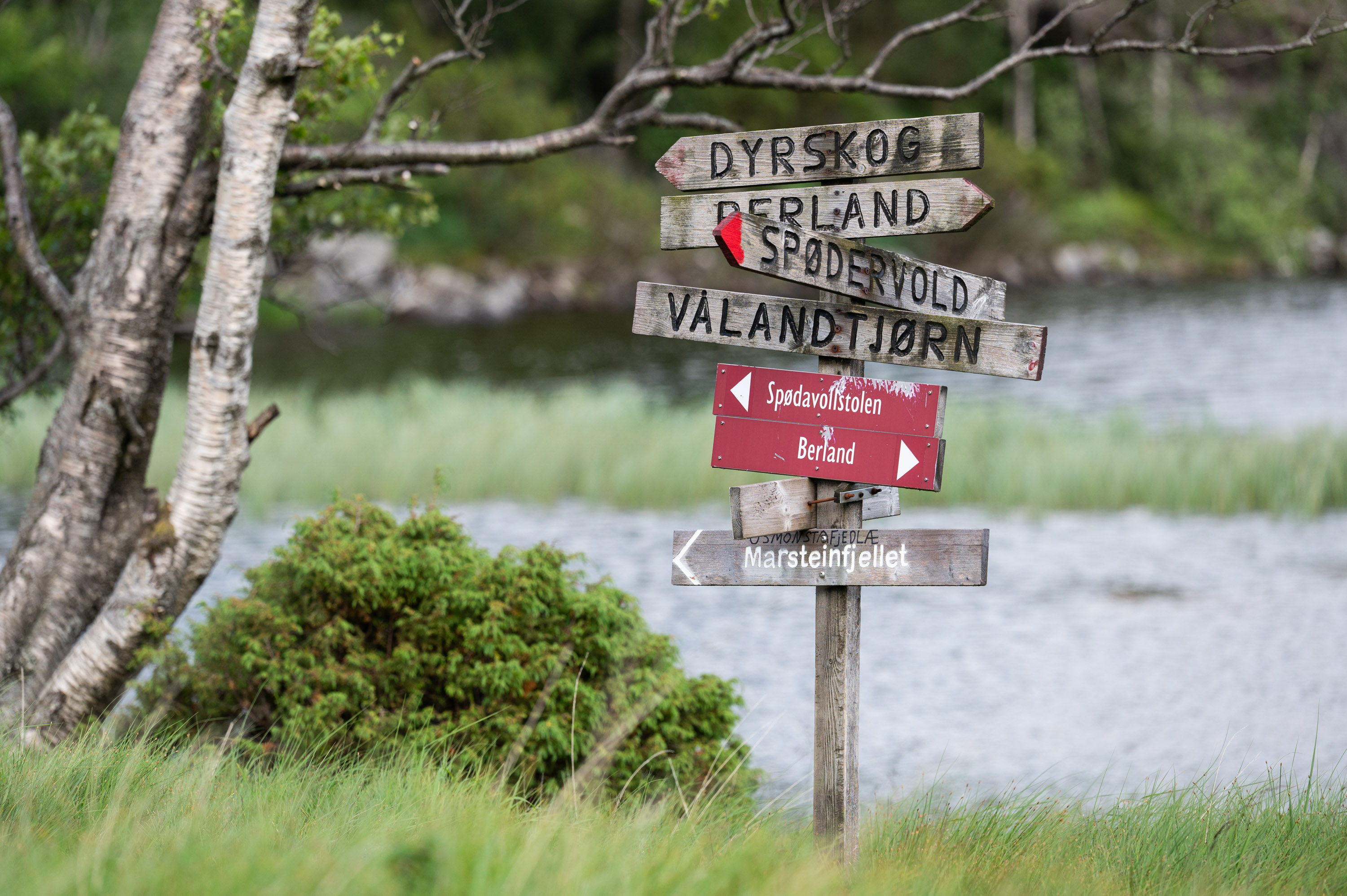 Marsteinfjellet