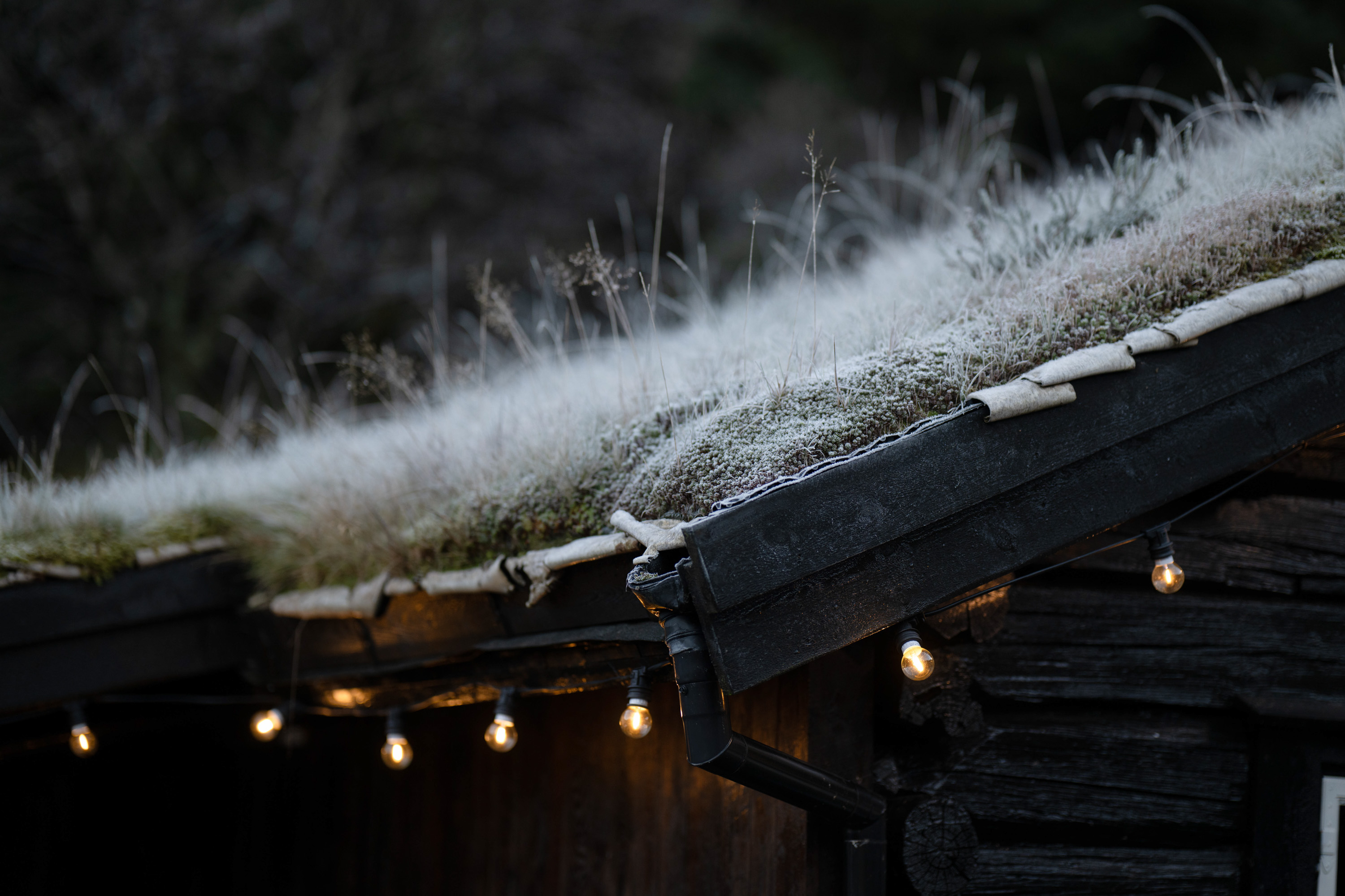 Byrkjedalstunet vinter