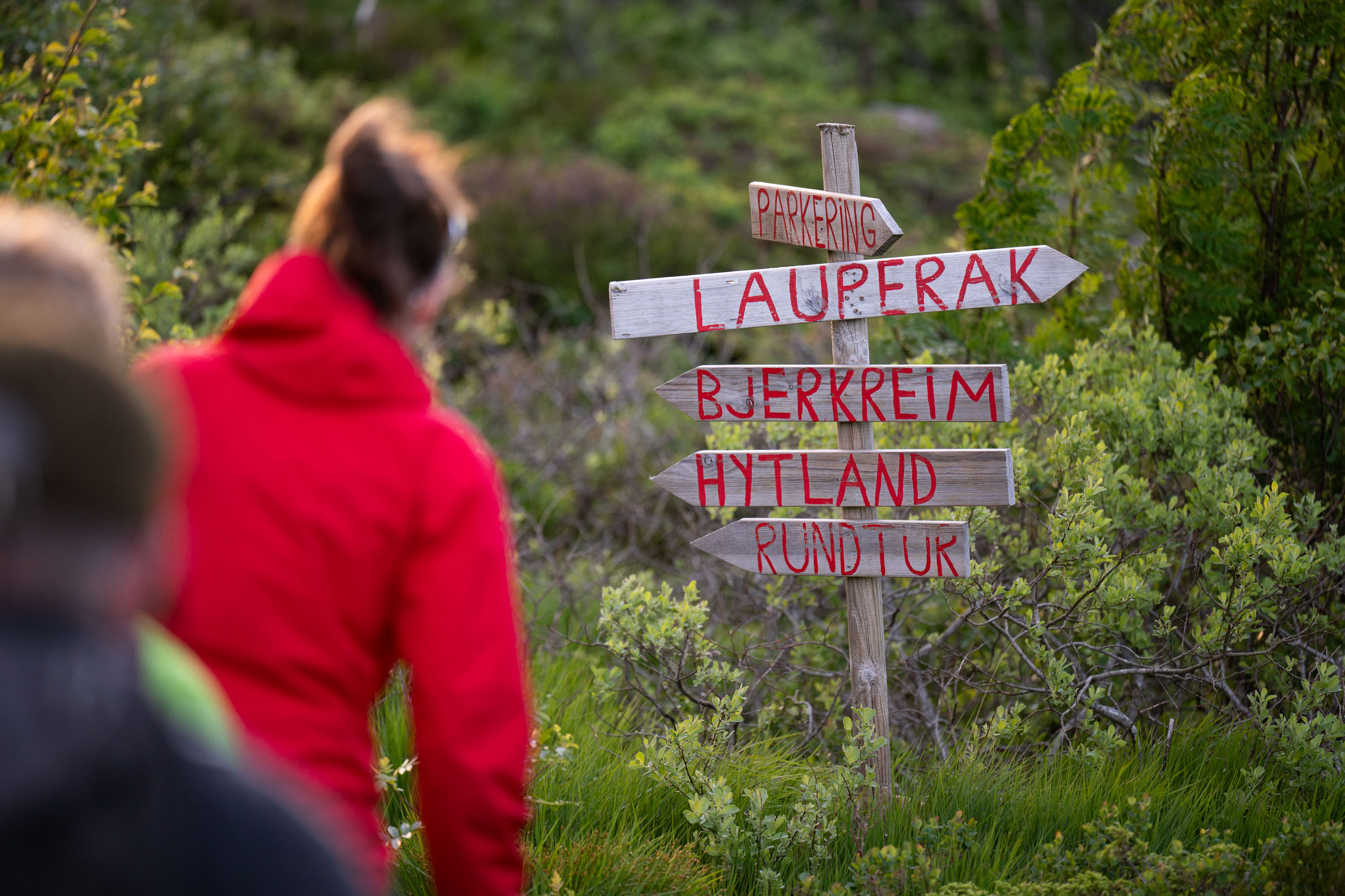 Øykjafjell