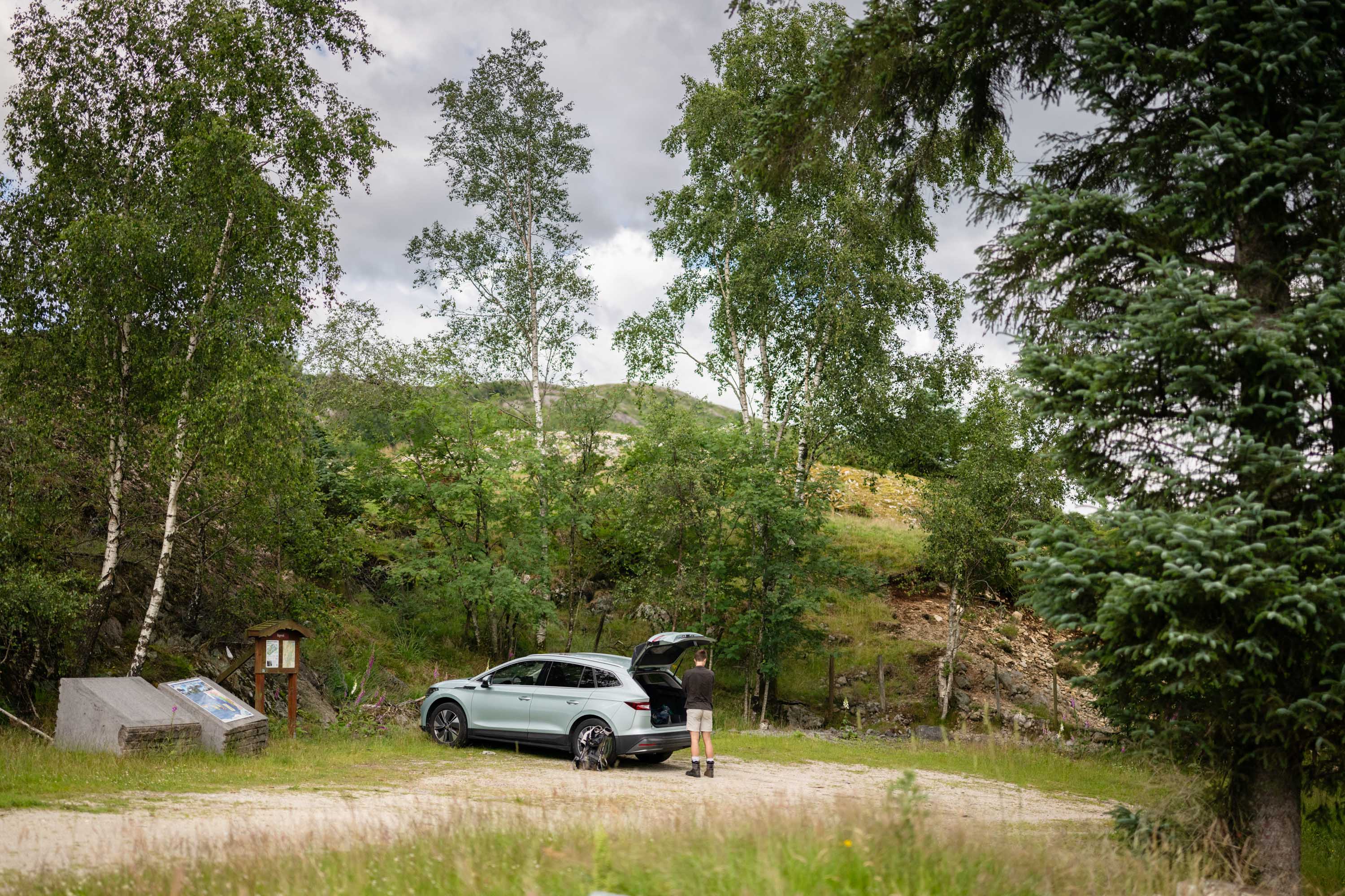 Solbjørgnipa