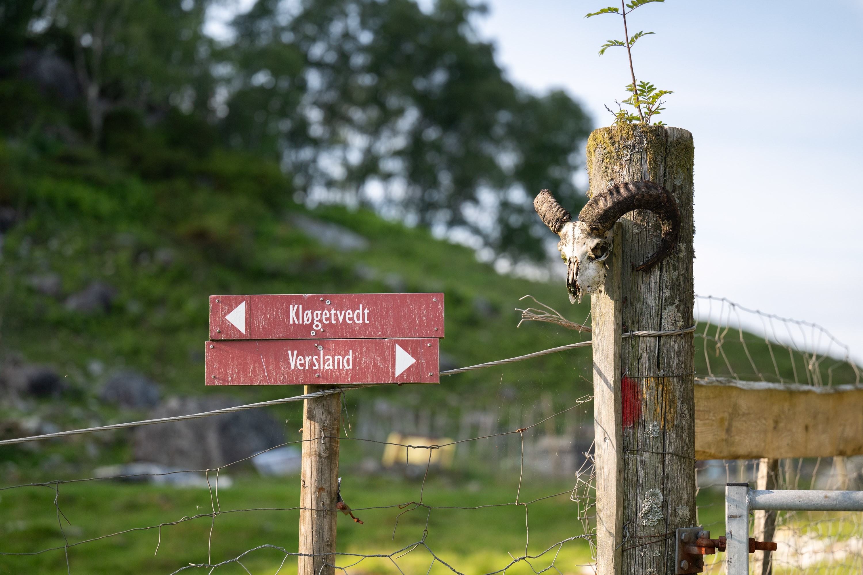Hengekøye ved Versland gard