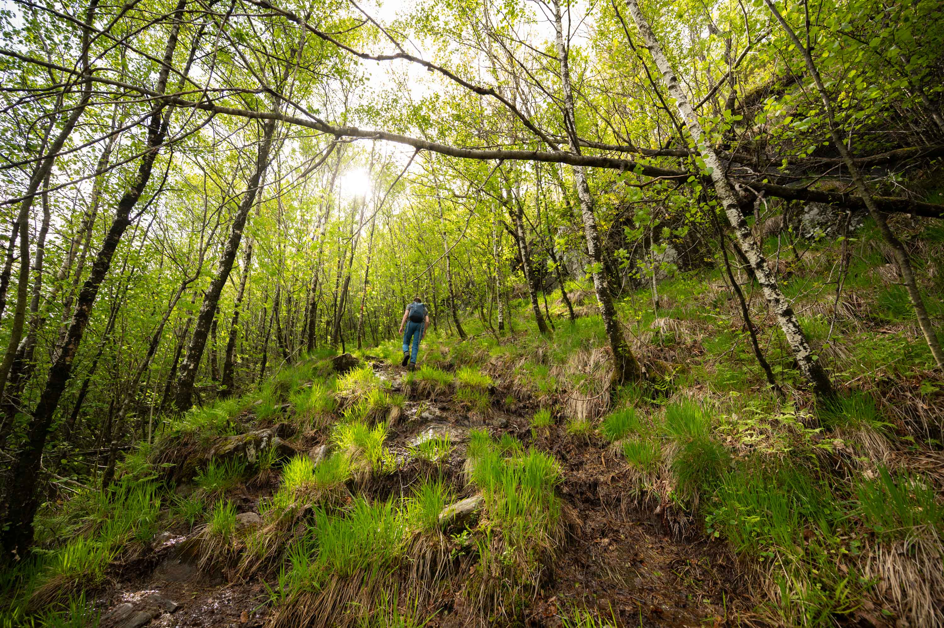Kyrkjefjellet