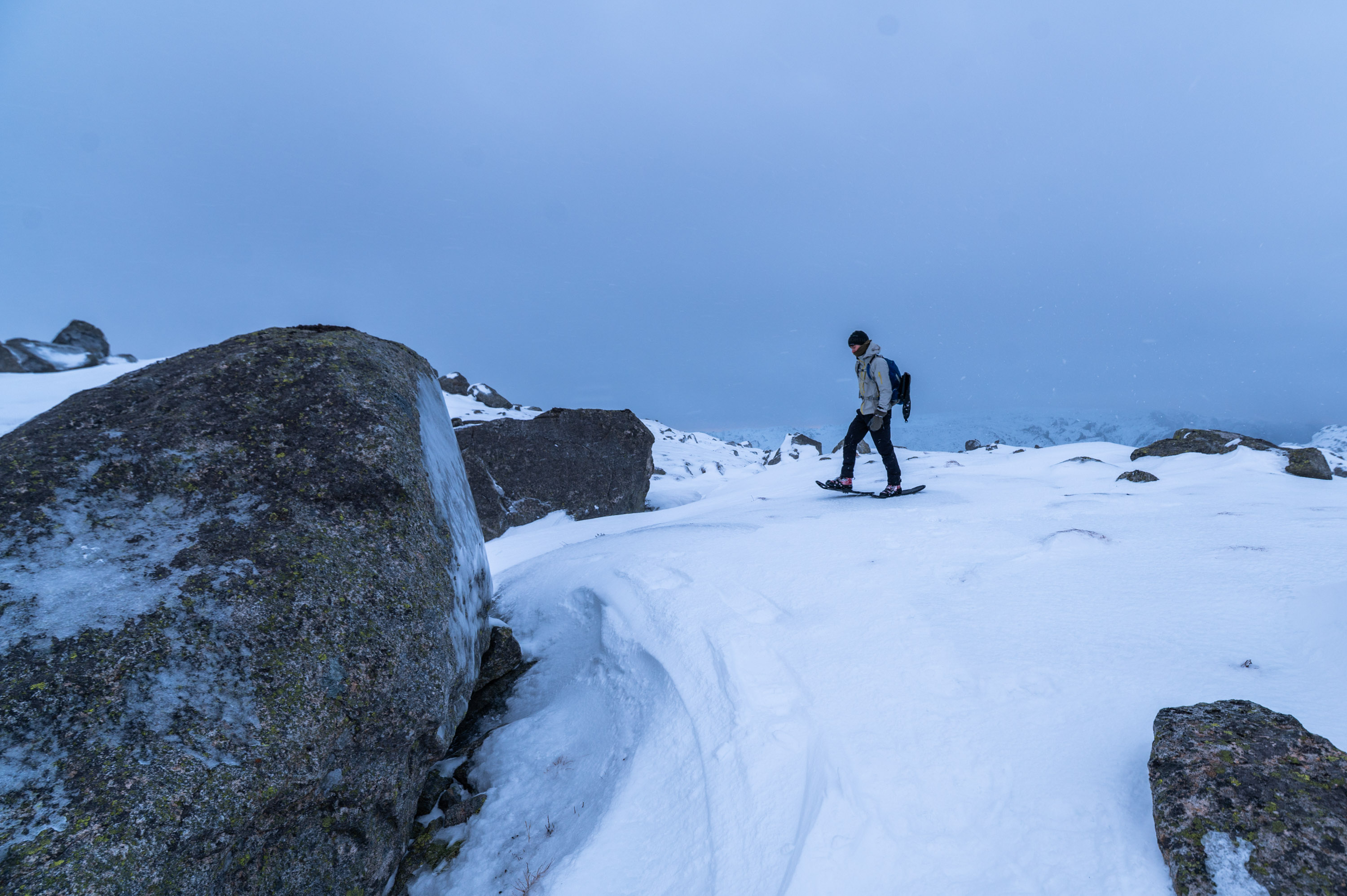 Eikeknuten vinter