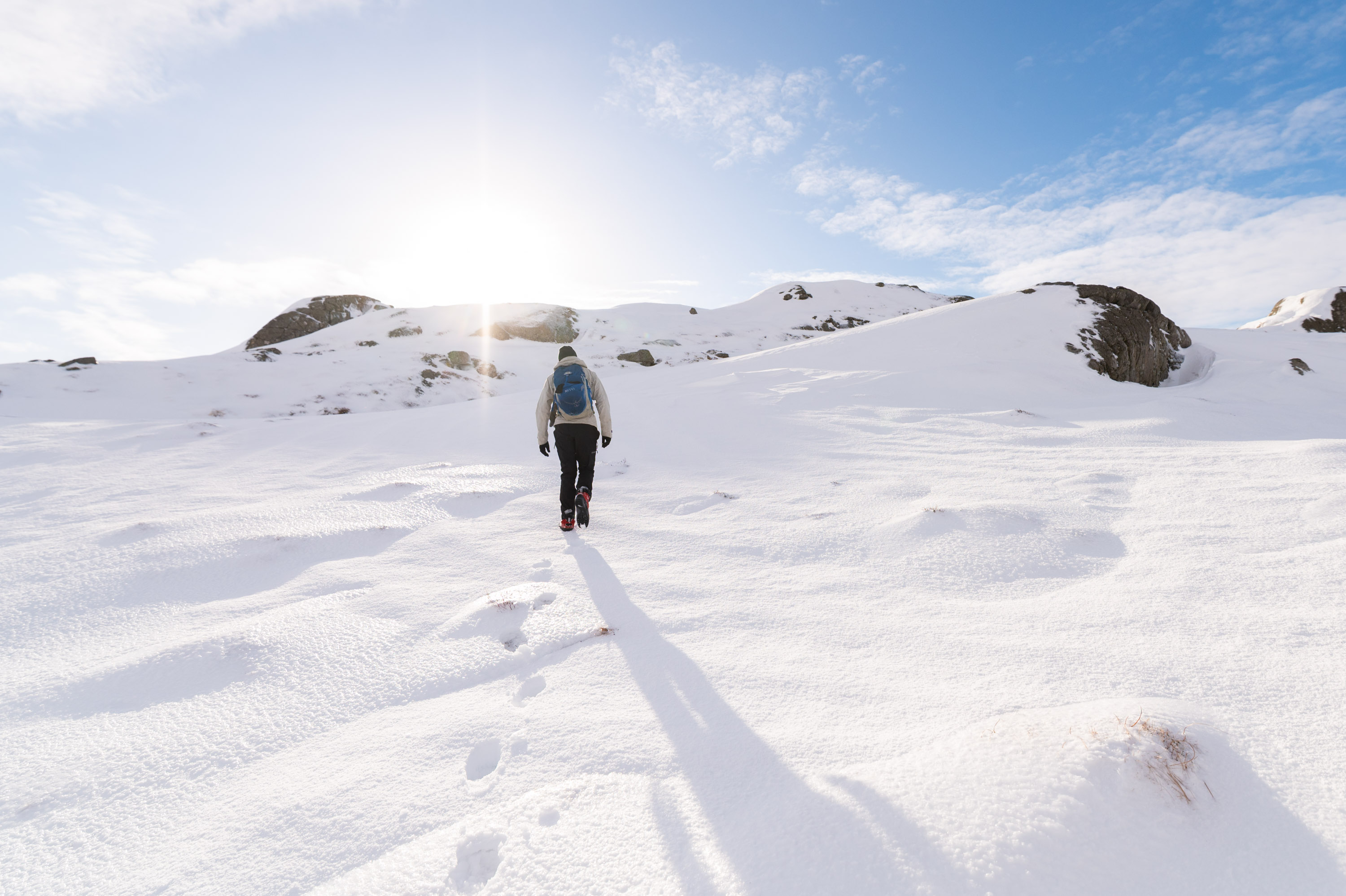 Eikeknuten vinter